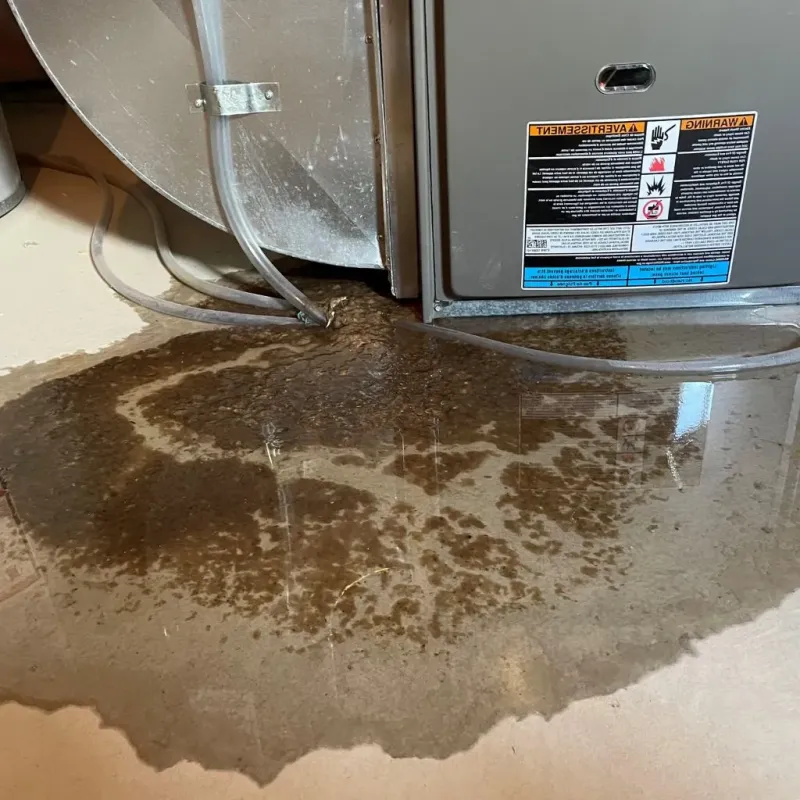 Pipe Burst and Leak Restoration in Wareham Center, MA